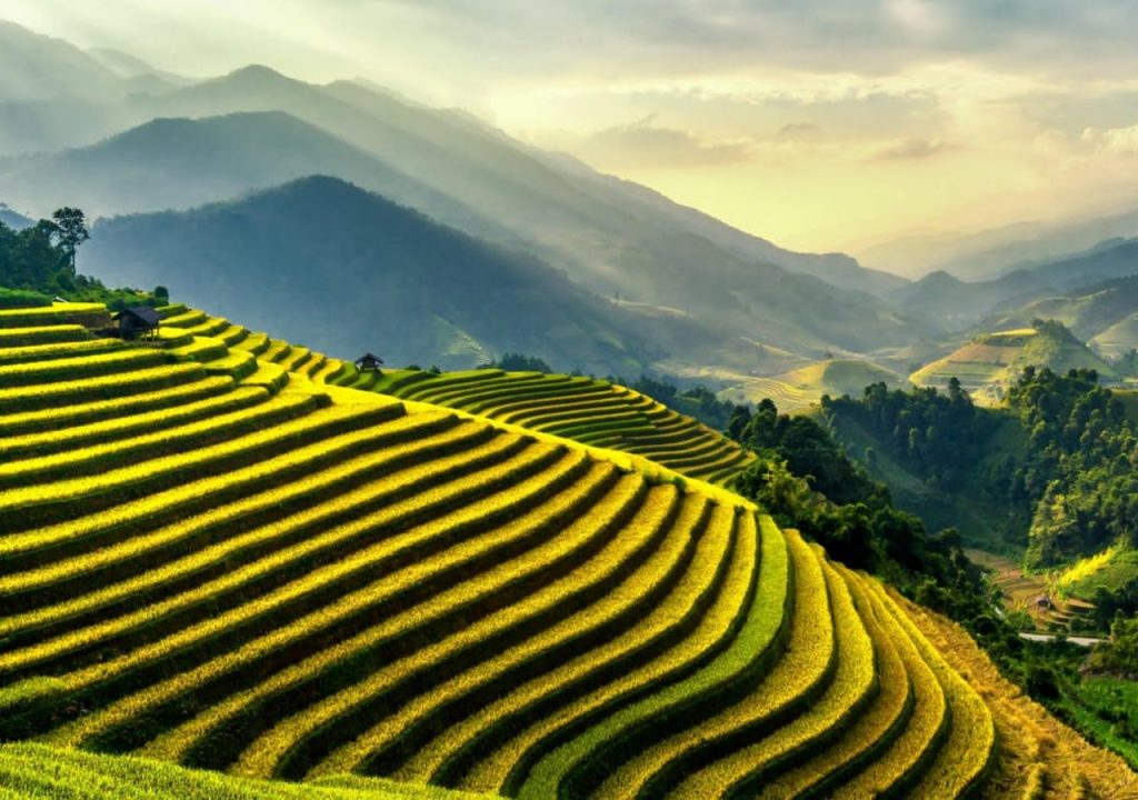 Bali come2indonesia tours indonesia rice fields
