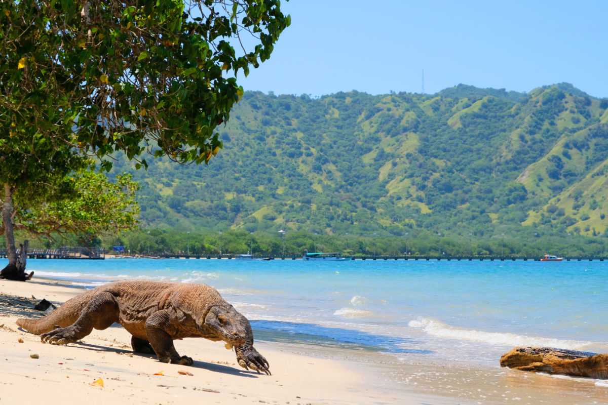 Indonesia Introduces Strict Visitor Quotas At World Famous Tourist Attractions: Will Bali Be Next?