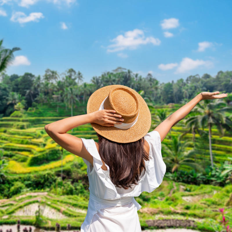 Tourist Overlooks Bali Rice Terrace