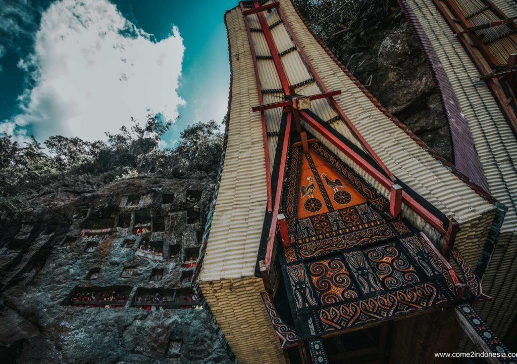 authentic toraja tour experience