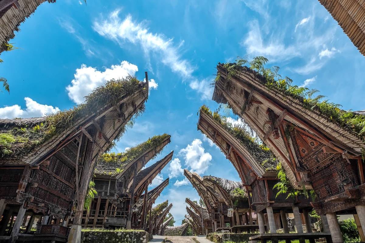 Traditional Tongkonan houses in Toraja, South Sulawesi, Indonesia