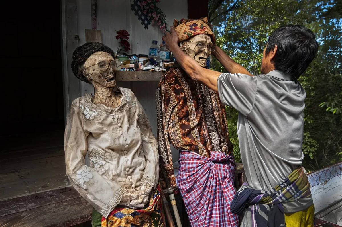 Manene toraja festival